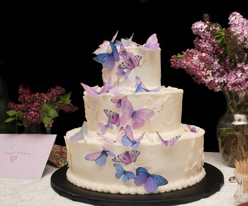 the-cascade-butterfly-cake